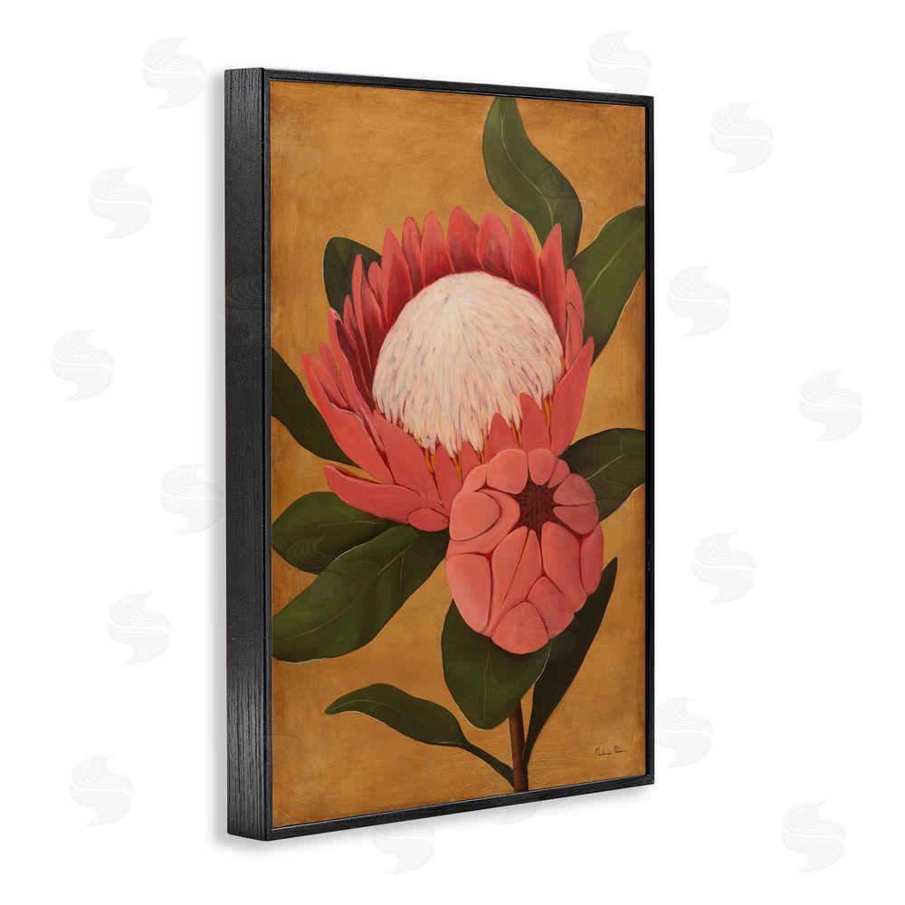 Mackenzie Nelson Bloomed Protea on Gold Black Framed Giclee Wall Art Print