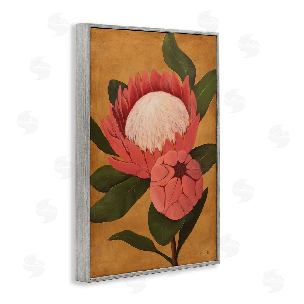 Mackenzie Nelson Bloomed Protea on Gold Gray Framed Giclee Wall Art Print
