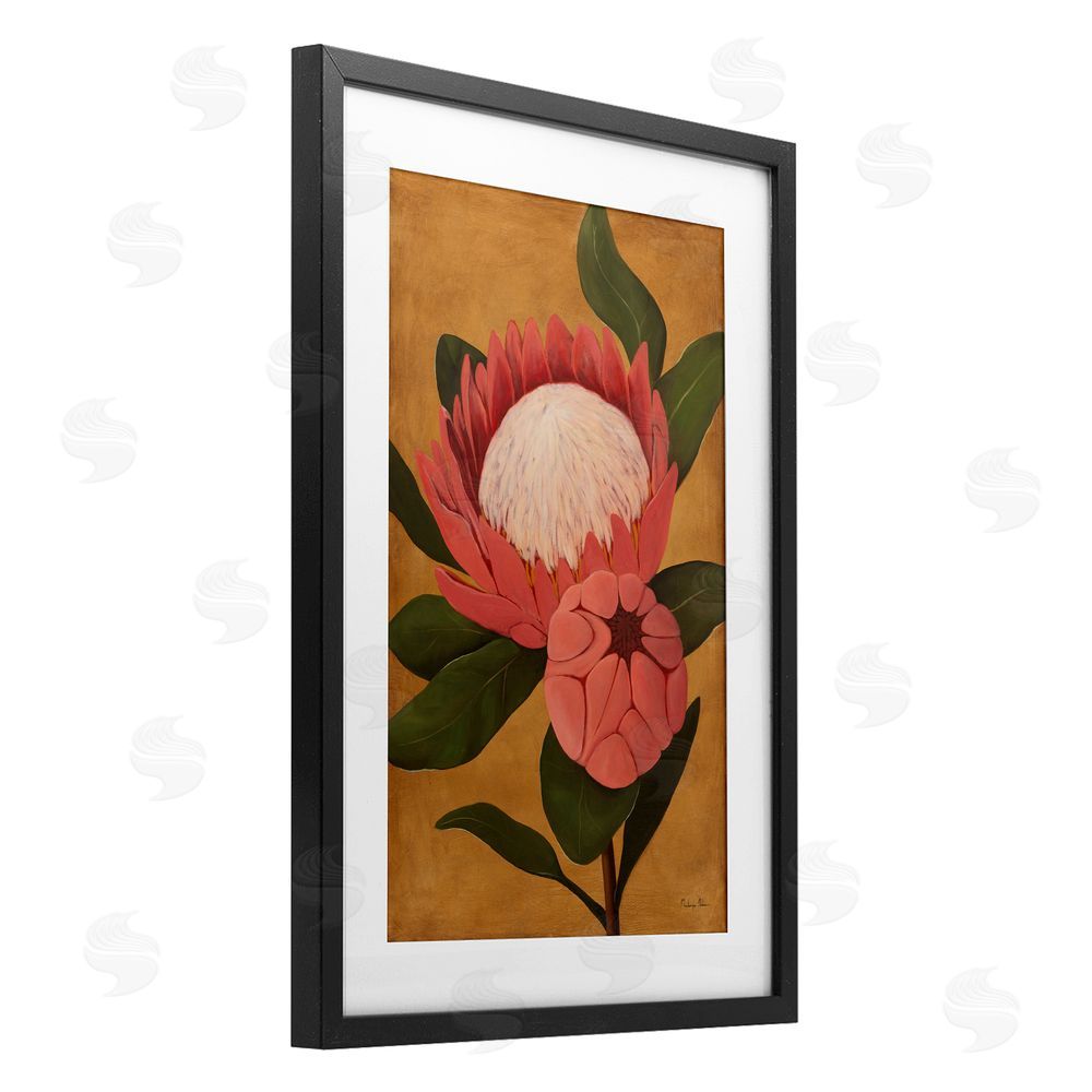 Mackenzie Nelson Bloomed Protea on Gold Black Framed Print Under Glass Wall Art