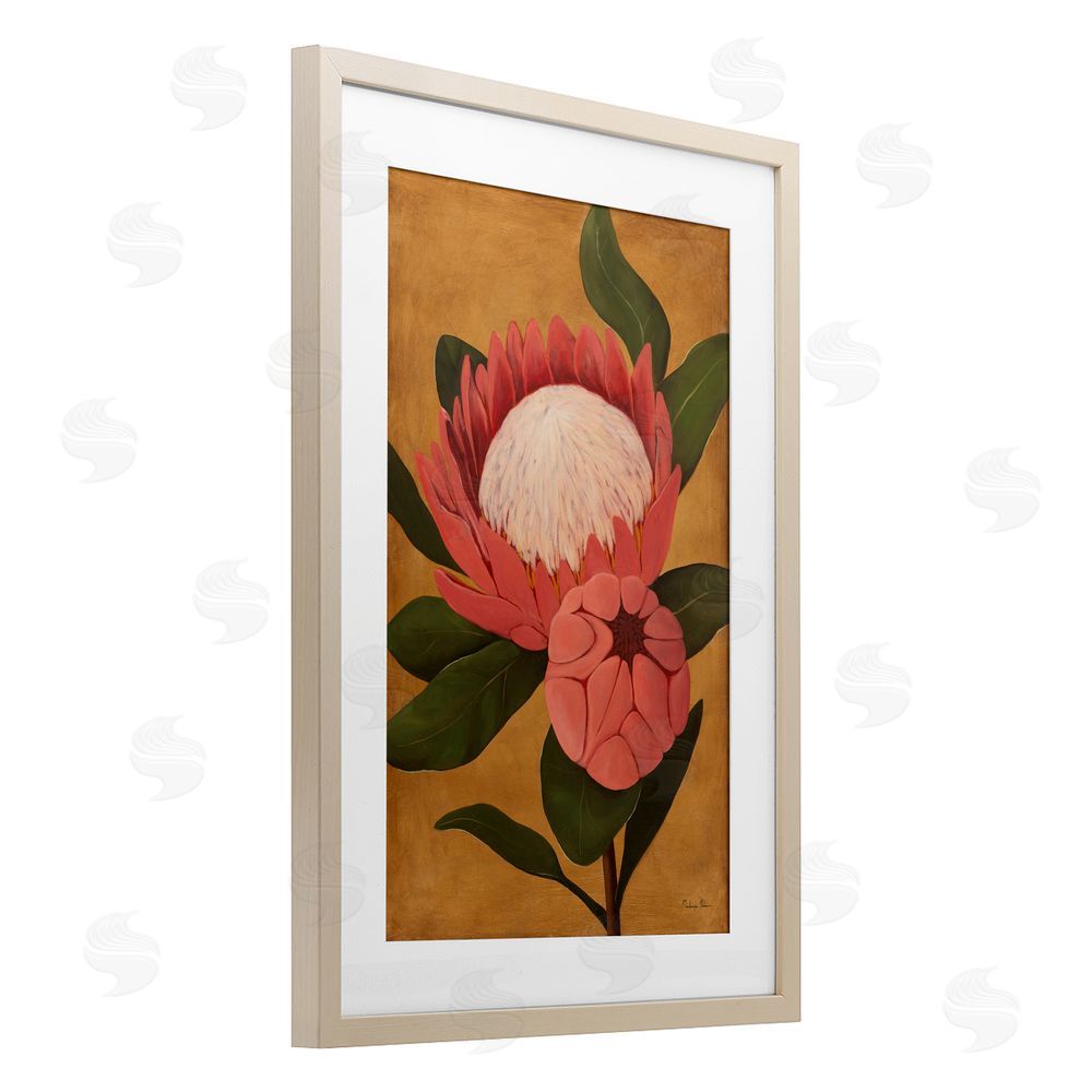 Mackenzie Nelson Bloomed Protea on Gold Brown Framed Print Under Glass Wall Art