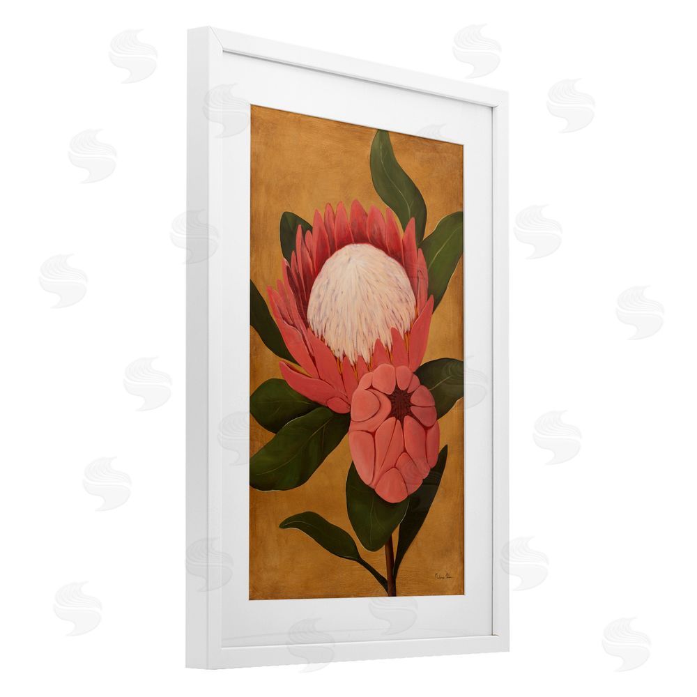 Mackenzie Nelson Bloomed Protea on Gold White Framed Print Under Glass Wall Art