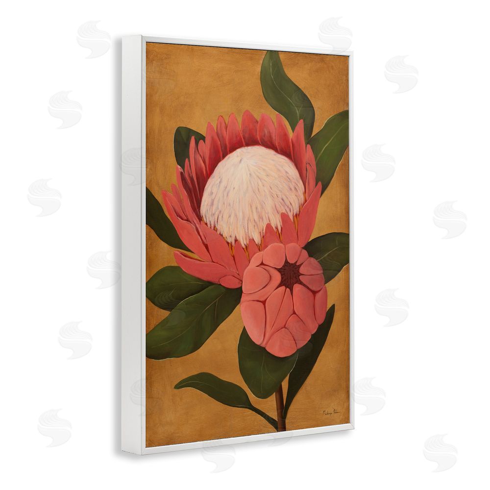 Mackenzie Nelson Bloomed Protea on Gold White Framed Giclee Wall Art Print