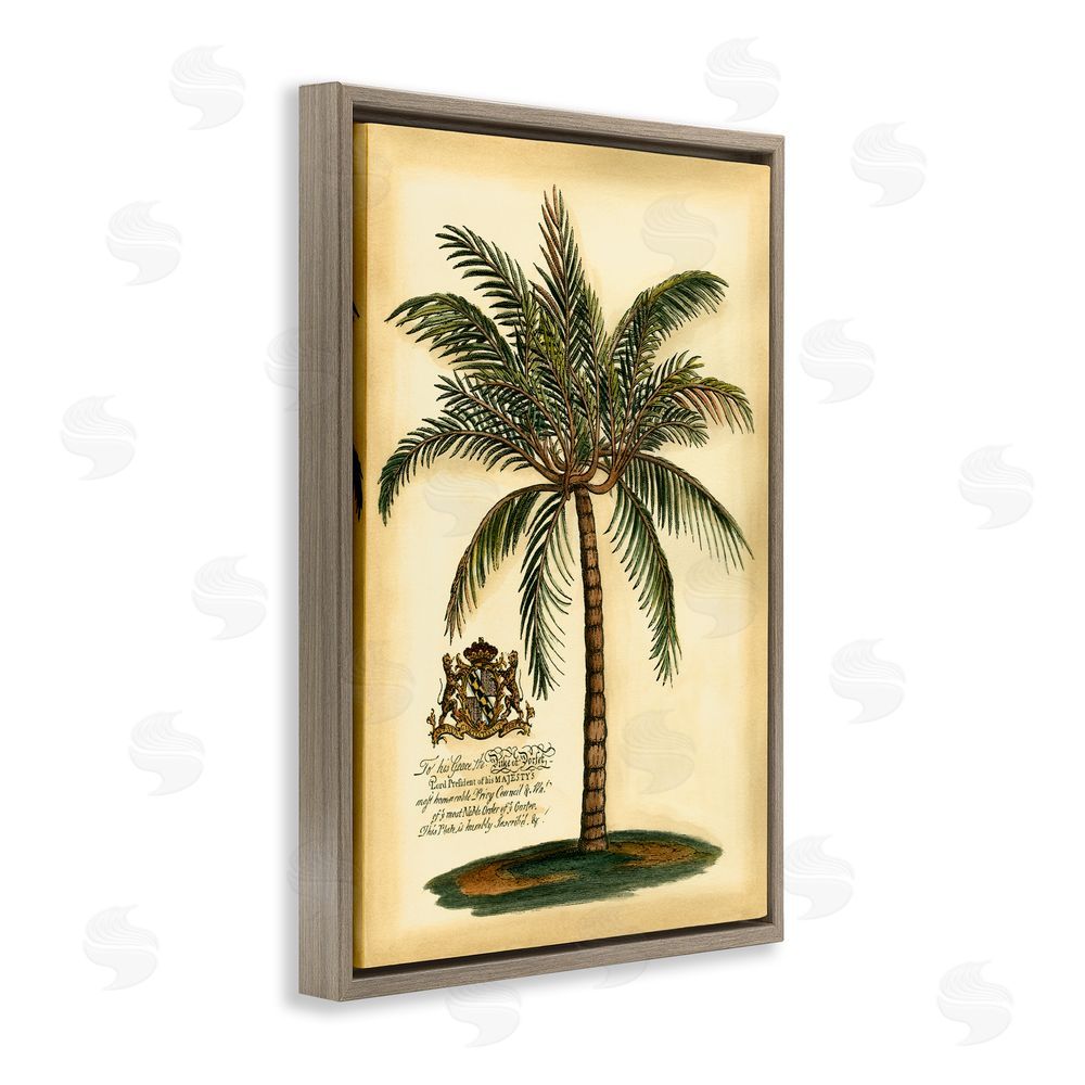 Vision Studio British Colonial Palm Brown Floating Frame Canvas Wall Art Print