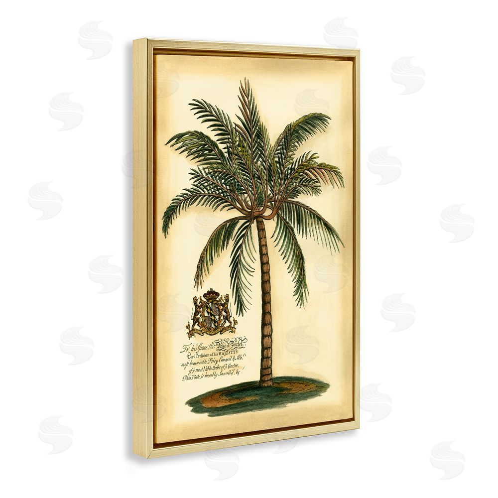 Vision Studio British Colonial Palm Gold Floating Frame Canvas Wall Art Print