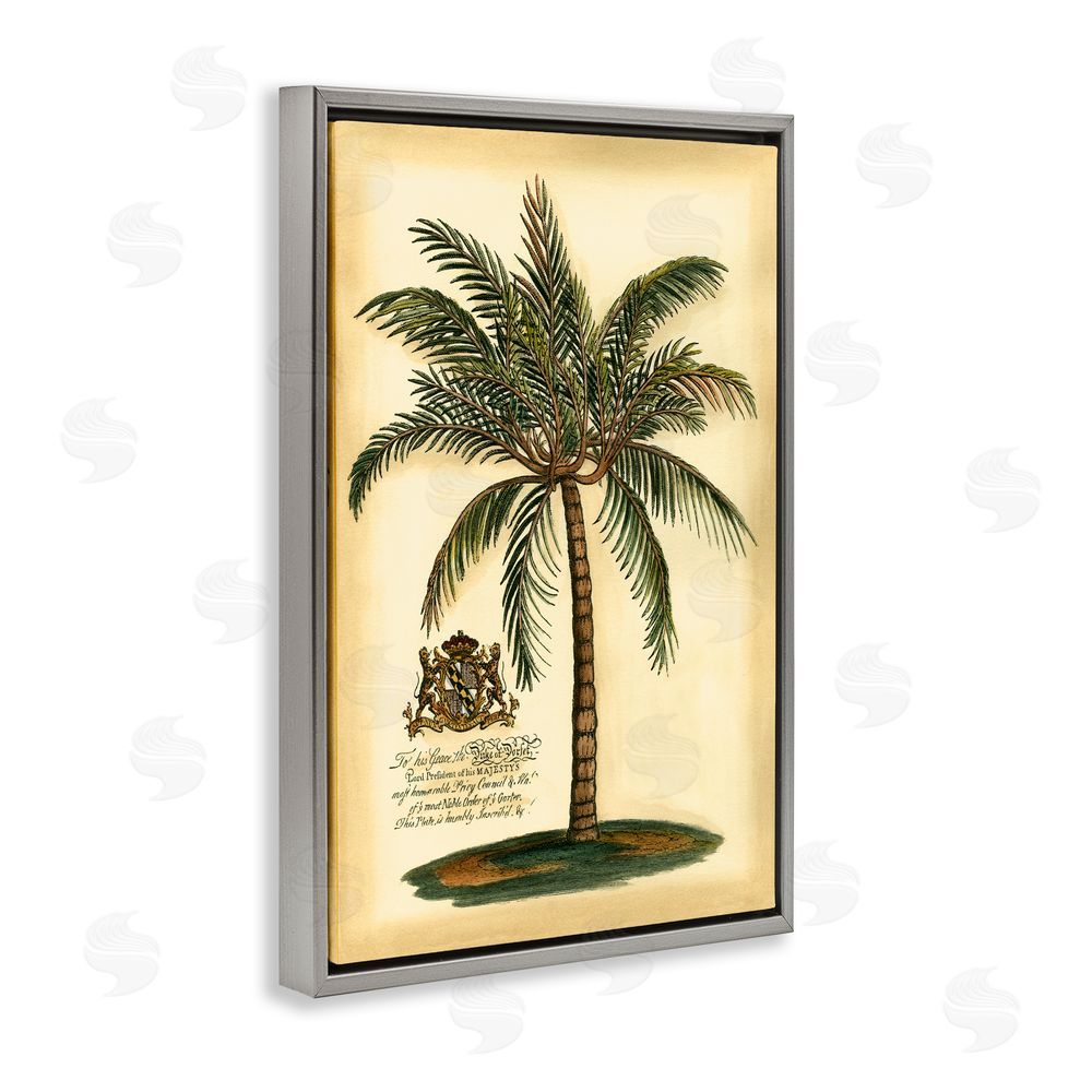Vision Studio British Colonial Palm Gray Floating Frame Canvas Wall Art Print