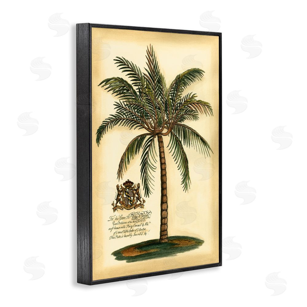 Vision Studio British Colonial Palm Black Framed Giclee Wall Art Print