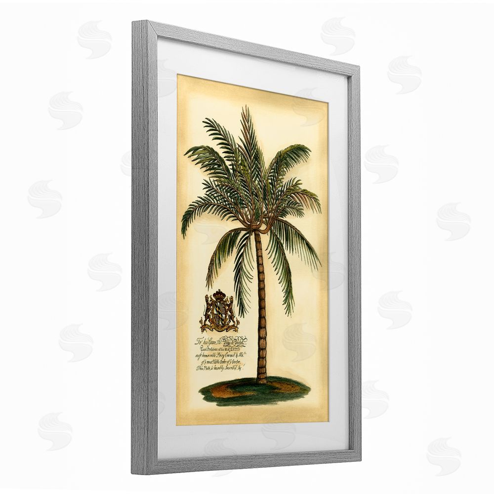 Vision Studio British Colonial Palm Gray Framed Print Under Glass Wall Art
