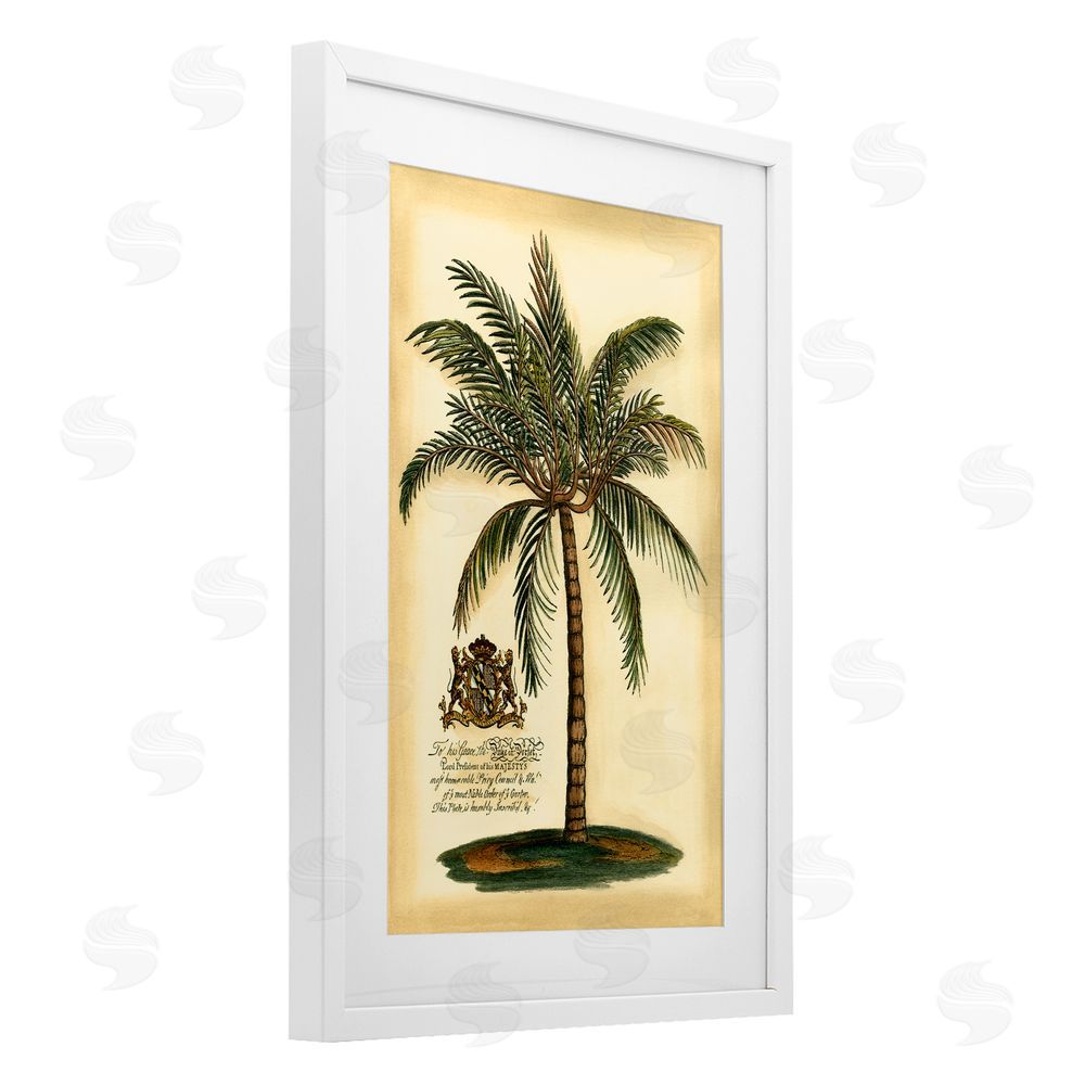 Vision Studio British Colonial Palm White Framed Print Under Glass Wall Art
