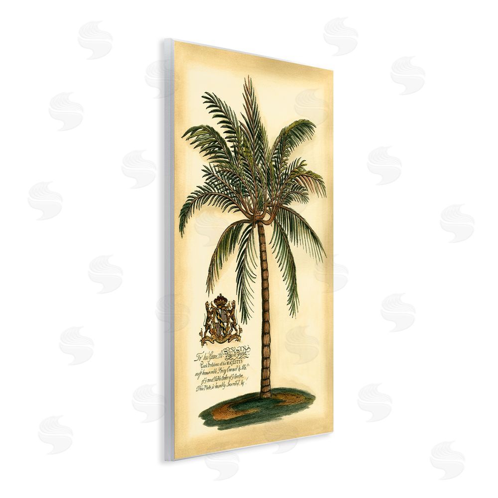 Vision Studio British Colonial Palm Wooden Wall Plaque Art Print