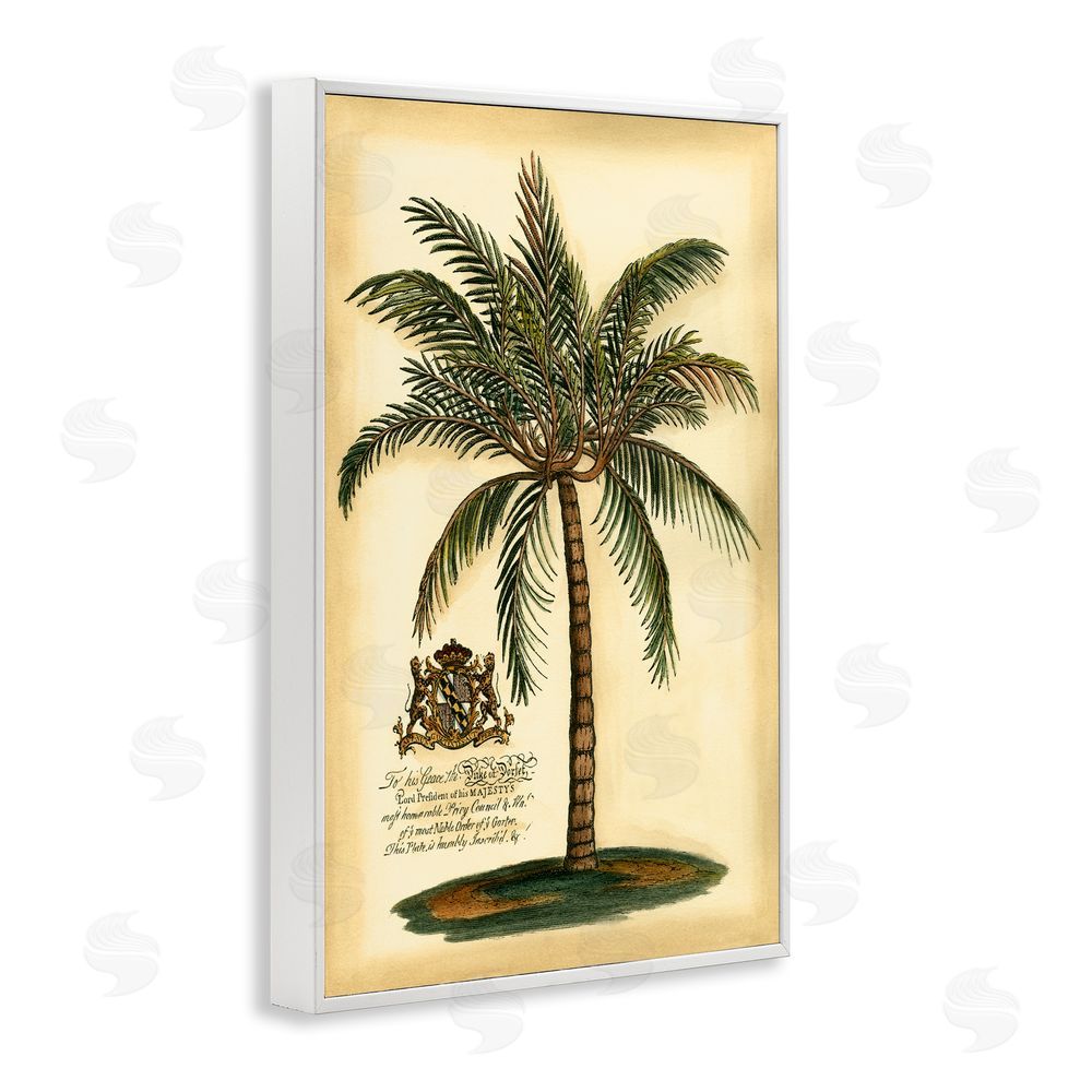 Vision Studio British Colonial Palm White Framed Giclee Wall Art Print