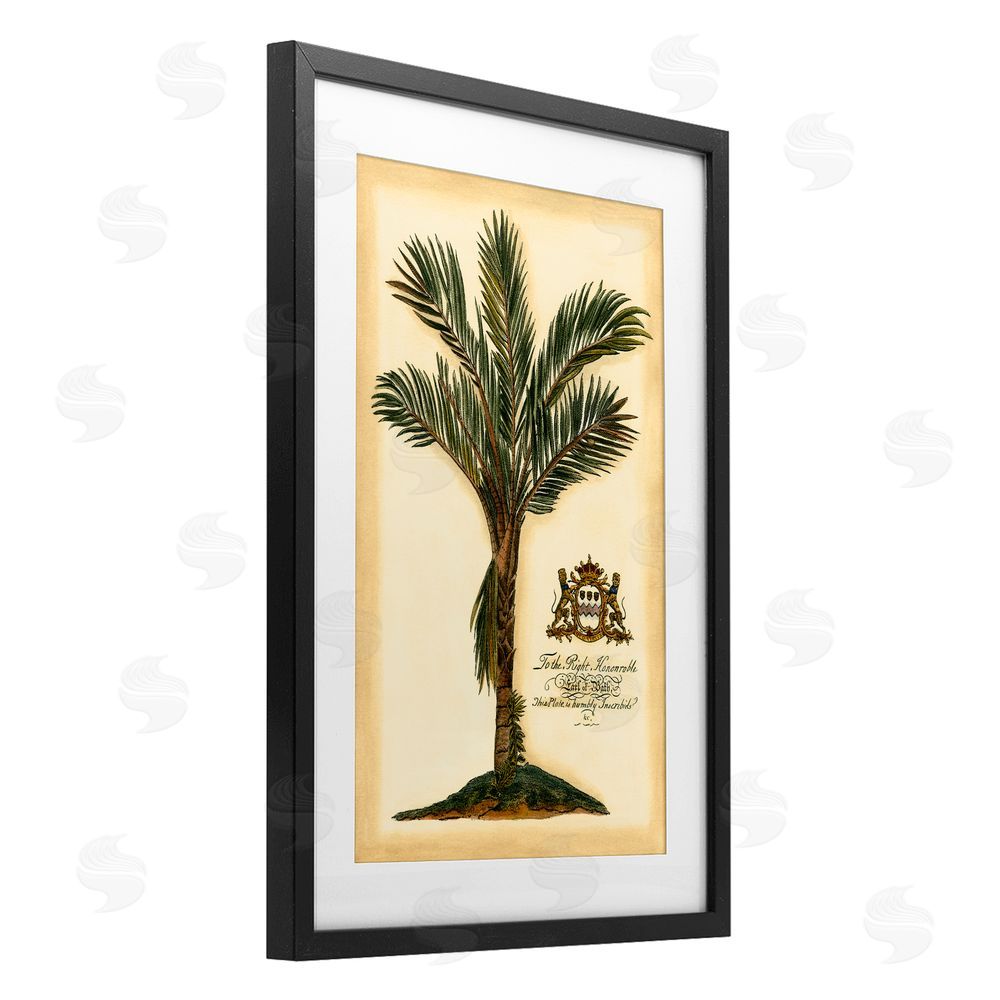 Vision Studio Vintage Colonial Palm Black Framed Print Under Glass Wall Art