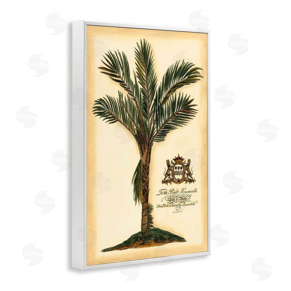 Vision Studio Vintage Colonial Palm White Framed Giclee Wall Art Print
