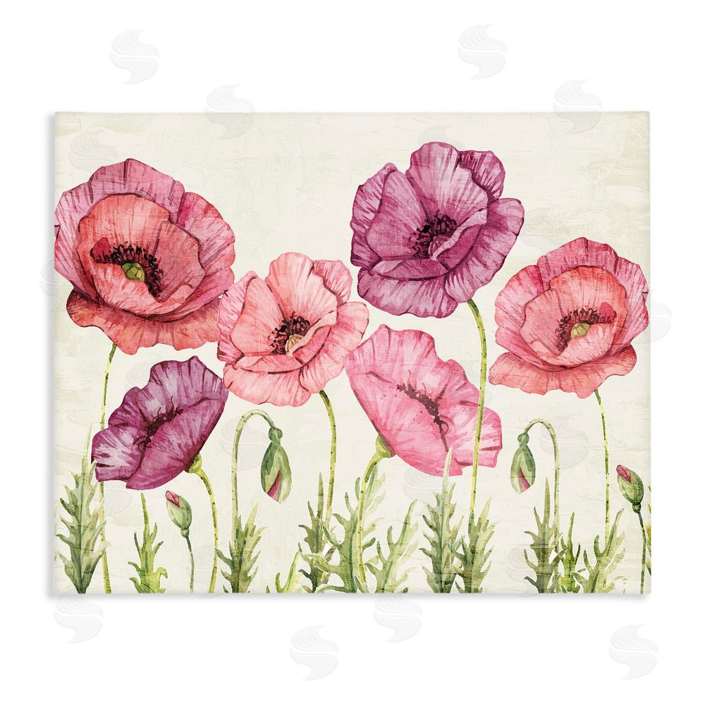 Kim Allen Poppy Days Vintage Blooms Stretched Canvas Wall Art Print
