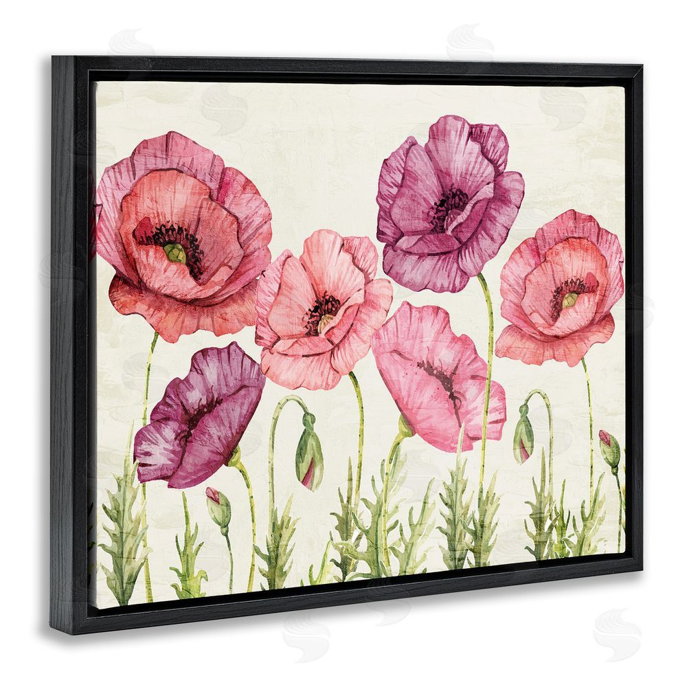 Kim Allen Poppy Days Vintage Blooms Black Floating Frame Canvas Wall Art Print