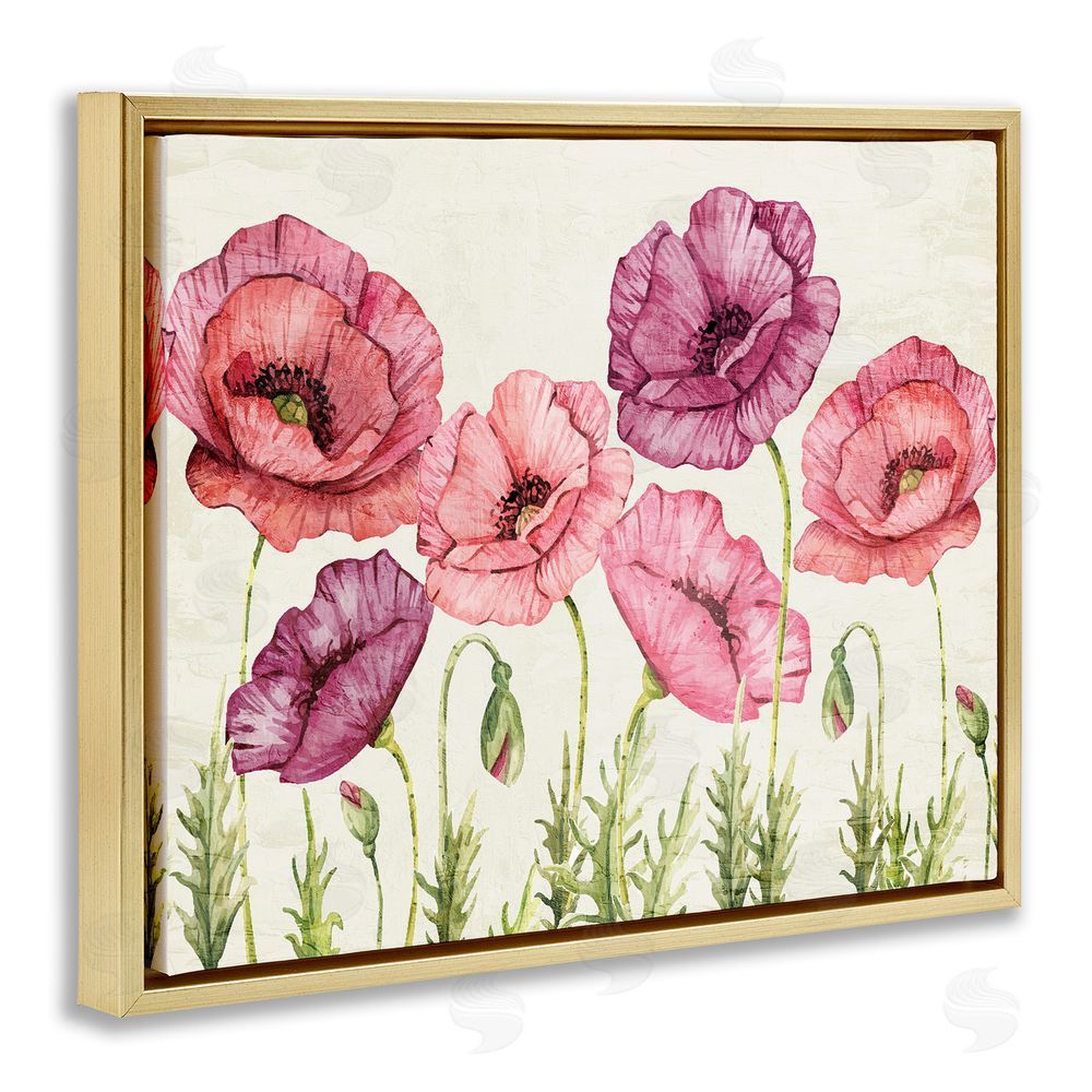 Kim Allen Poppy Days Vintage Blooms Gold Floating Frame Canvas Wall Art Print