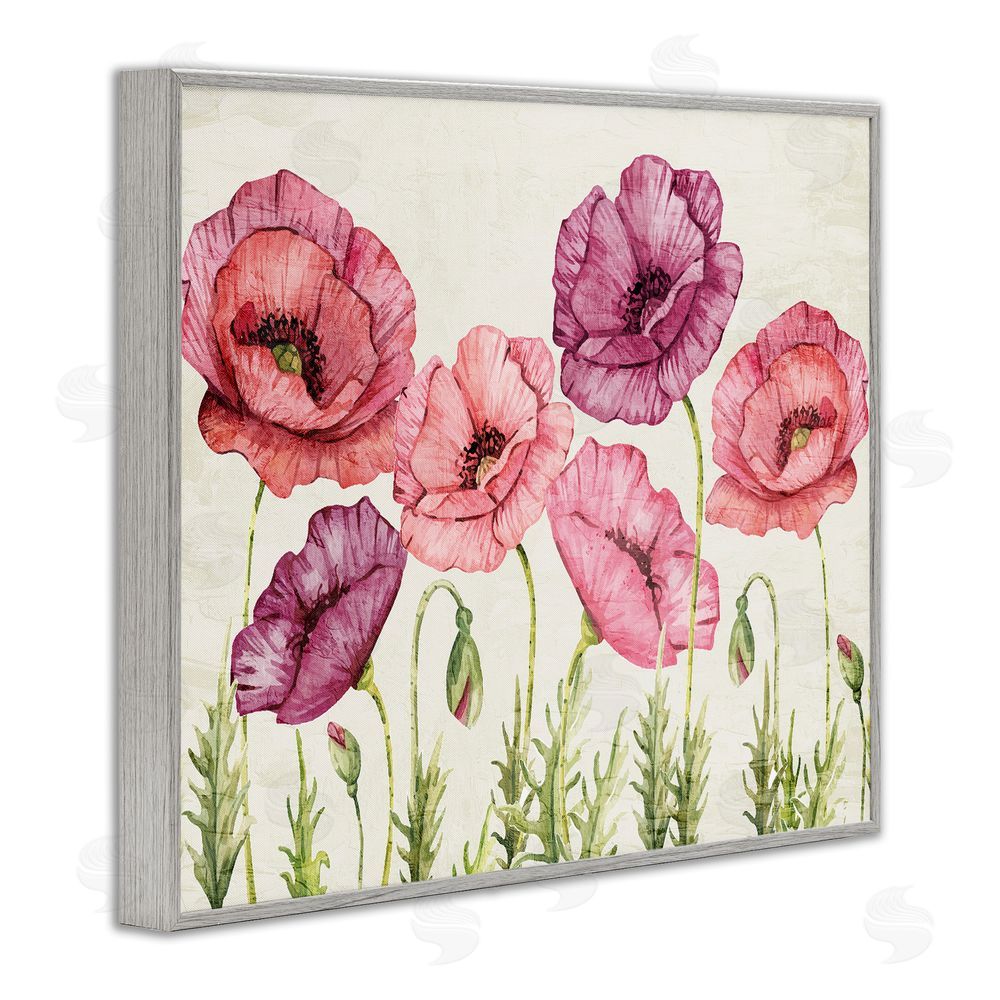 Kim Allen Poppy Days Vintage Blooms Gray Framed Giclee Wall Art Print
