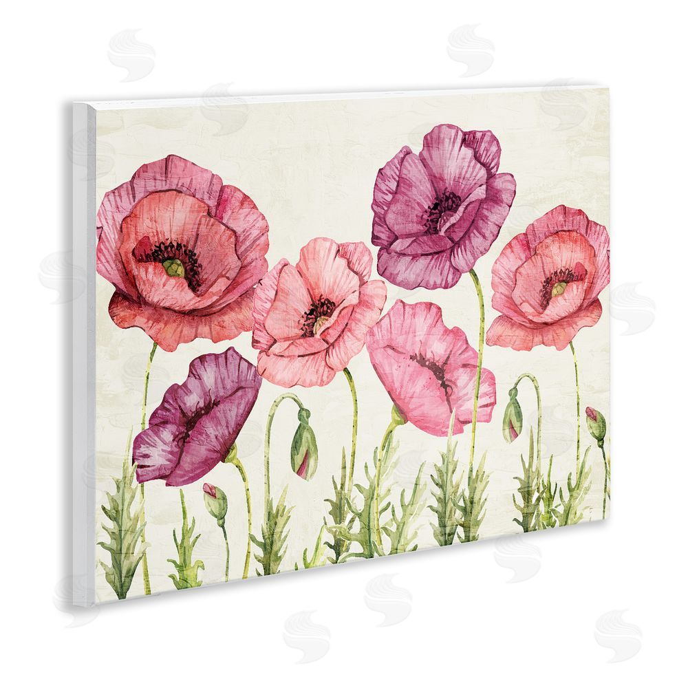 Kim Allen Poppy Days Vintage Blooms Wooden Wall Plaque Art Print