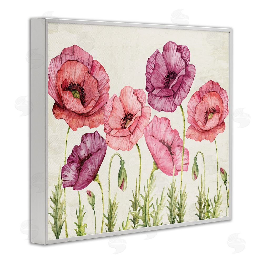 Kim Allen Poppy Days Vintage Blooms White Framed Giclee Wall Art Print