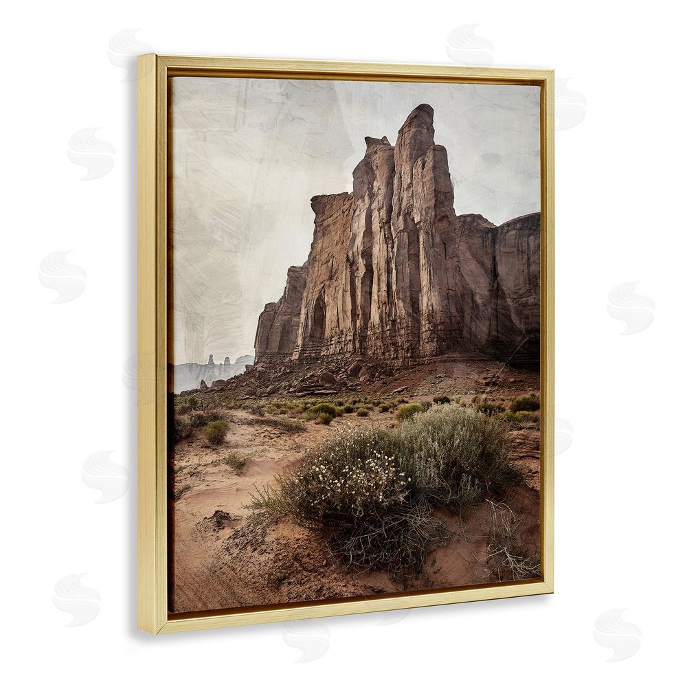 Kim Allen Desolate Rock View Gold Floating Frame Canvas Wall Art Print