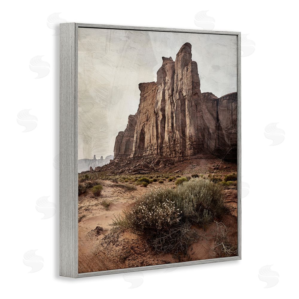 Kim Allen Desolate Rock View Gray Framed Giclee Wall Art Print