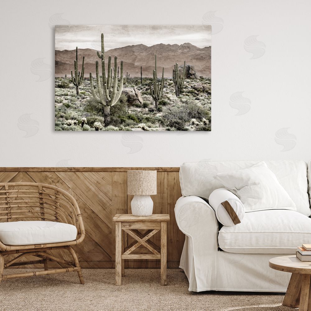 Kim Allen Desert Land Cacti Wilderness Stretched Canvas Wall Art in Room