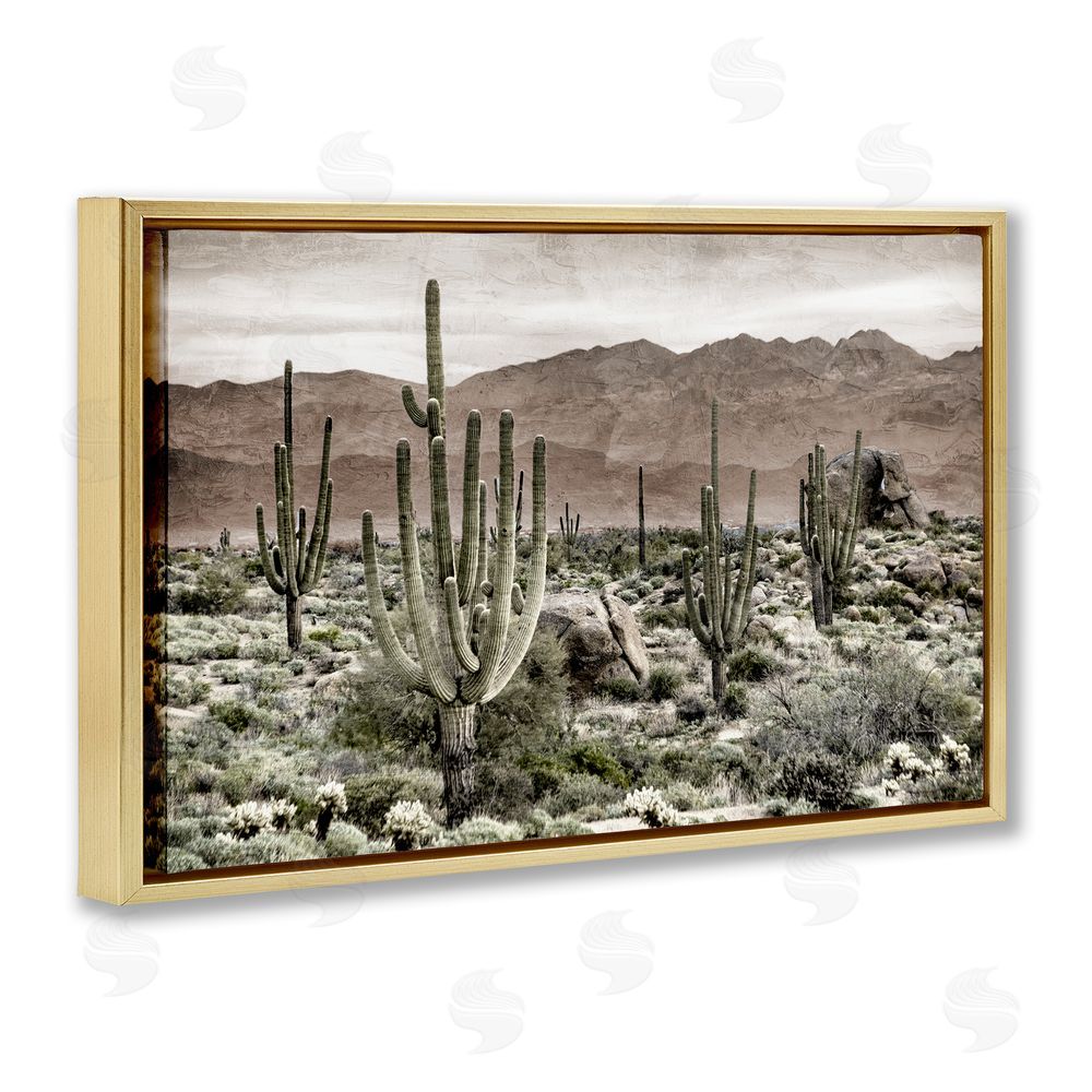 Kim Allen Desert Land Cacti Wilderness Gold Floating Frame Canvas Wall Art Print