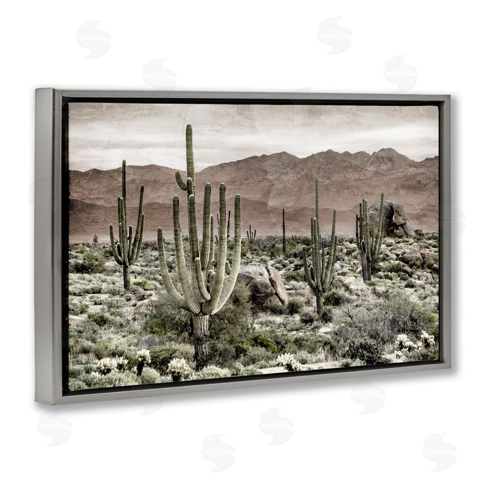 Kim Allen Desert Land Cacti Wilderness Gray Floating Frame Canvas Wall Art Print