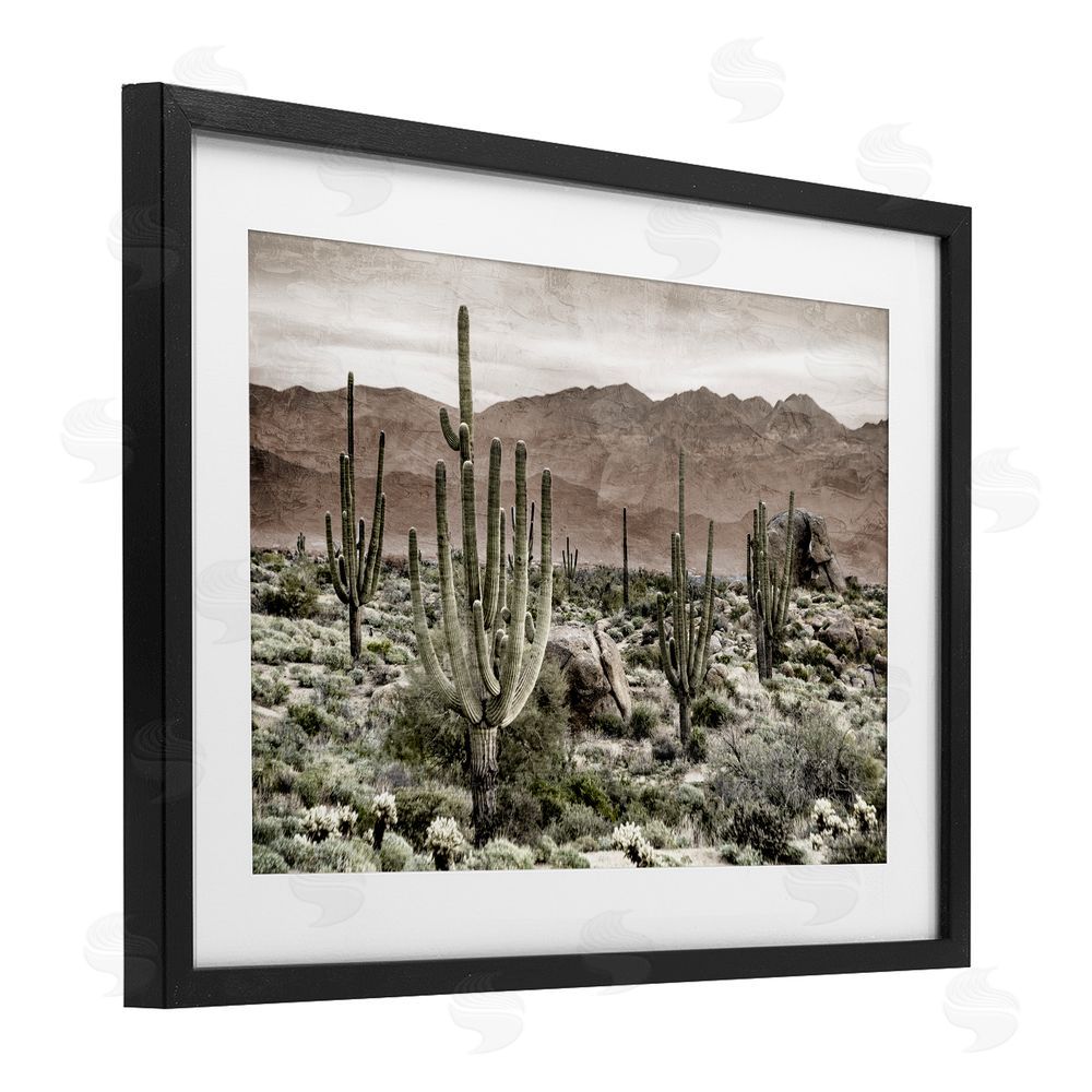 Kim Allen Desert Land Cacti Wilderness Black Framed Print Under Glass Wall Art