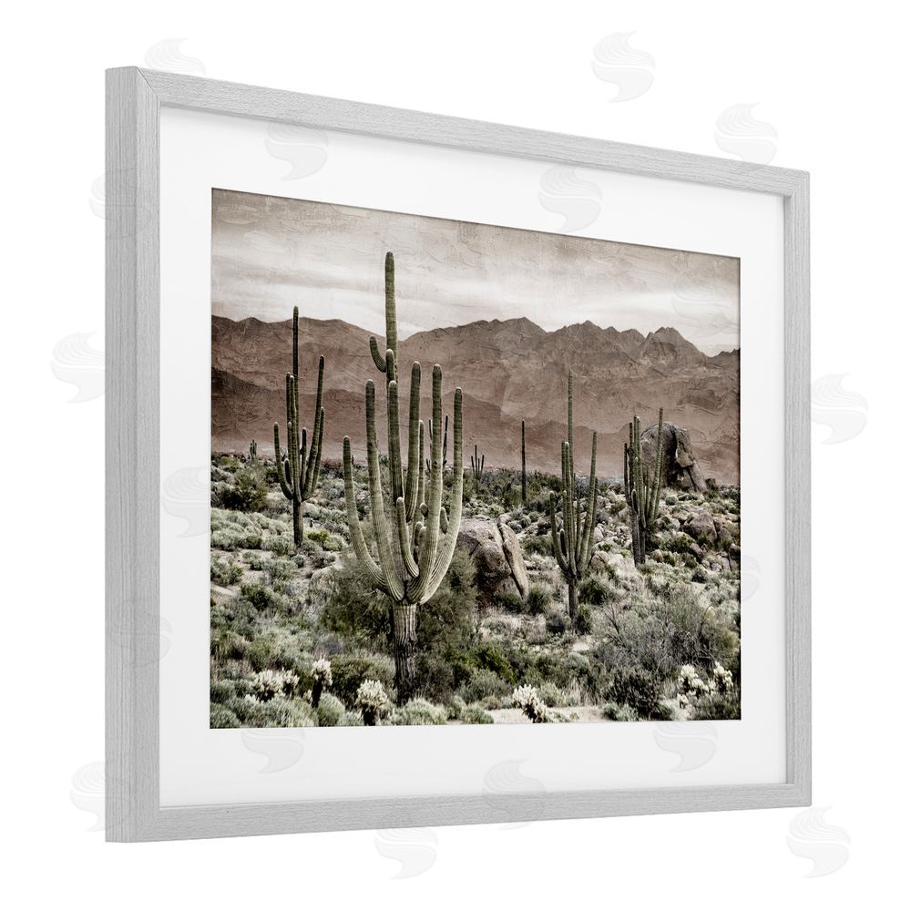 Kim Allen Desert Land Cacti Wilderness Gray Framed Print Under Glass Wall Art