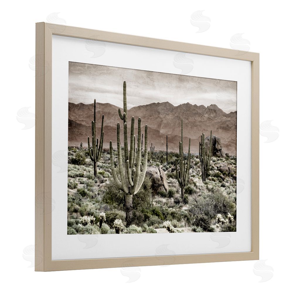 Kim Allen Desert Land Cacti Wilderness Brown Framed Print Under Glass Wall Art