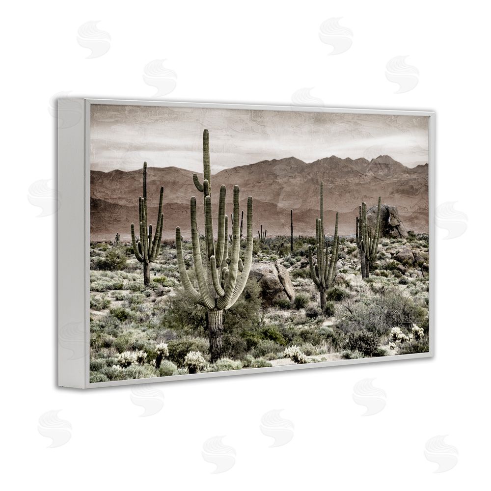 Kim Allen Desert Land Cacti Wilderness White Framed Giclee Wall Art Print