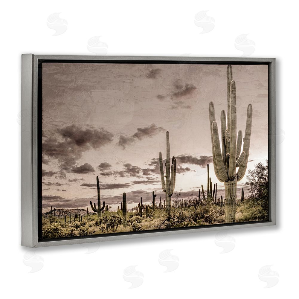 Kim Allen Desert Sky Wilderness Gray Floating Frame Canvas Wall Art Print