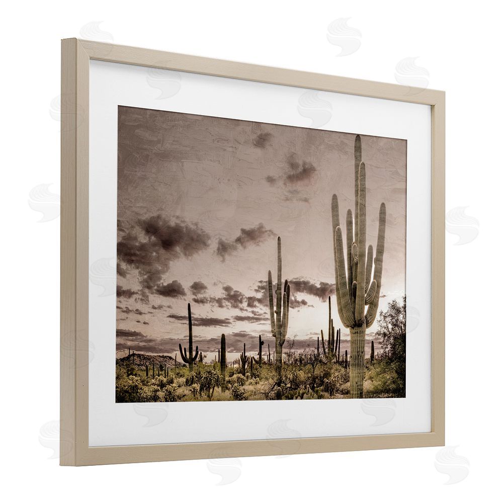 Kim Allen Desert Sky Wilderness Brown Framed Print Under Glass Wall Art