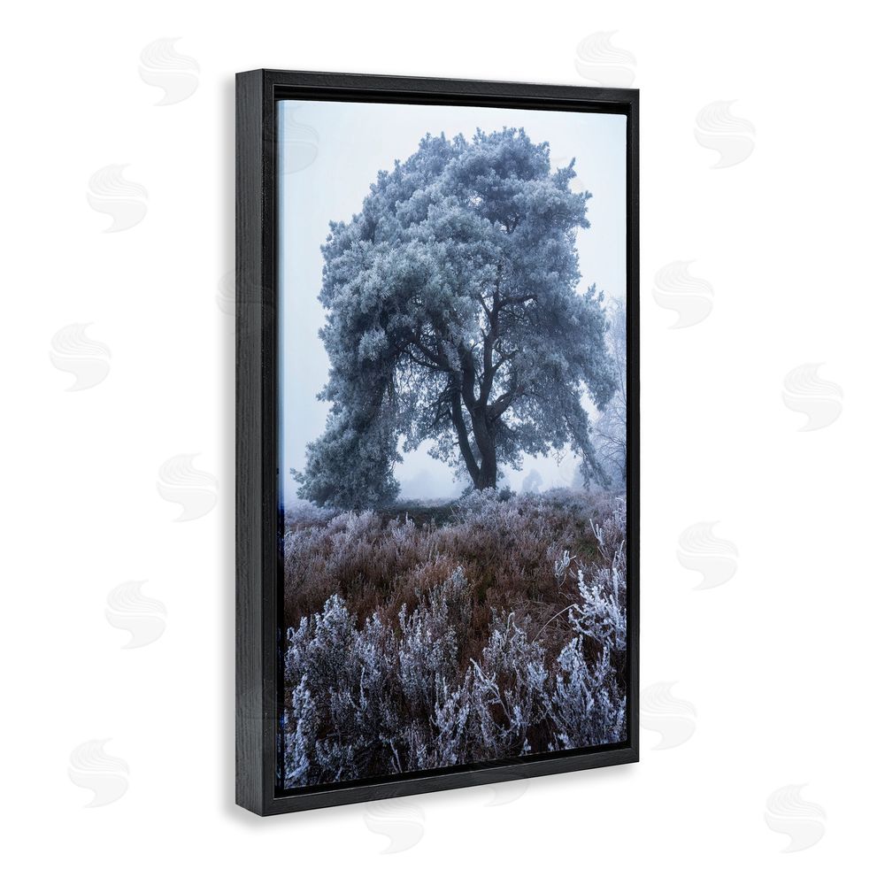 Martin Podt Frosted Tree in Winter Mist Black Floating Framed Canvas Wall Art