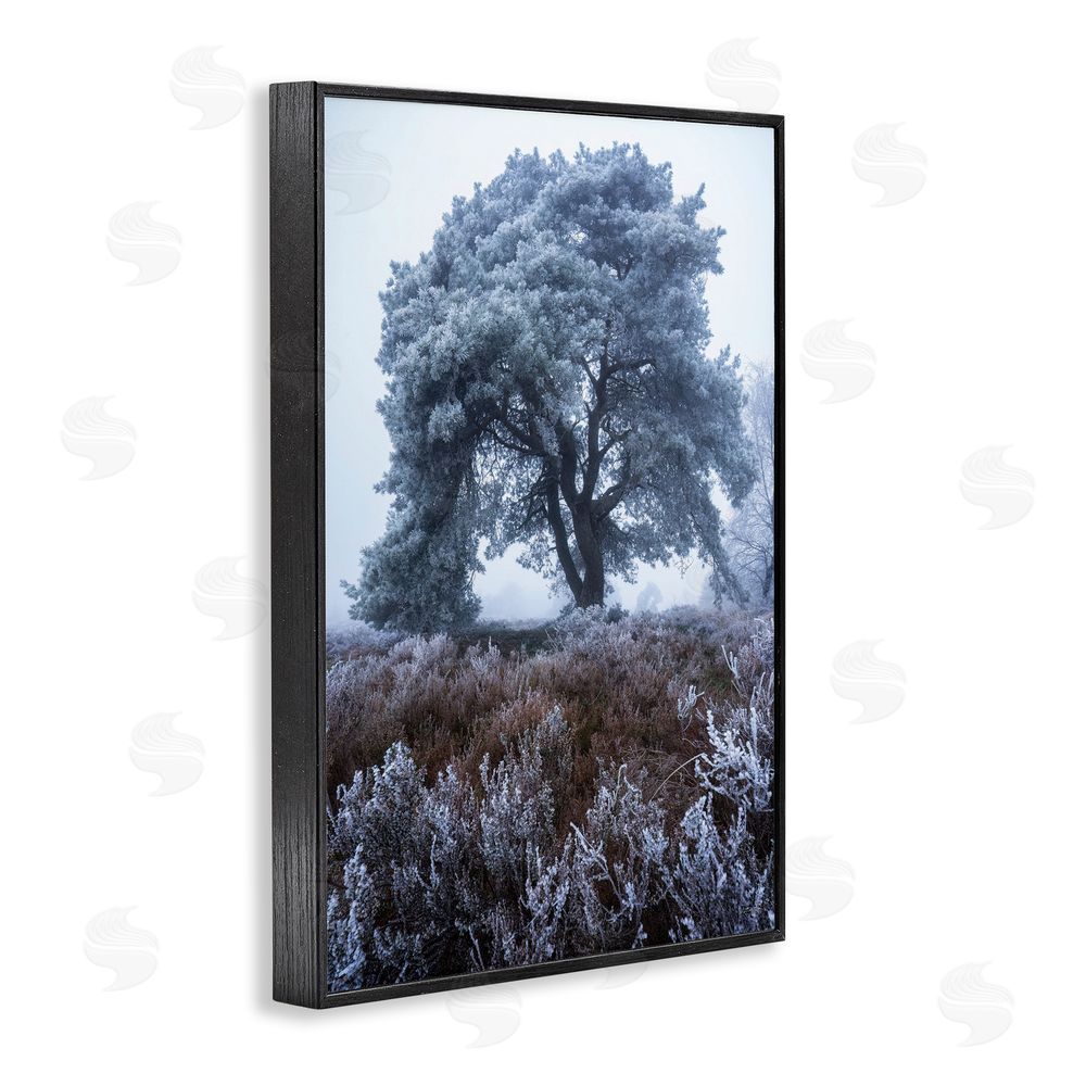 Martin Podt Frosted Tree in Winter Mist Black Framed Giclee Wall Art