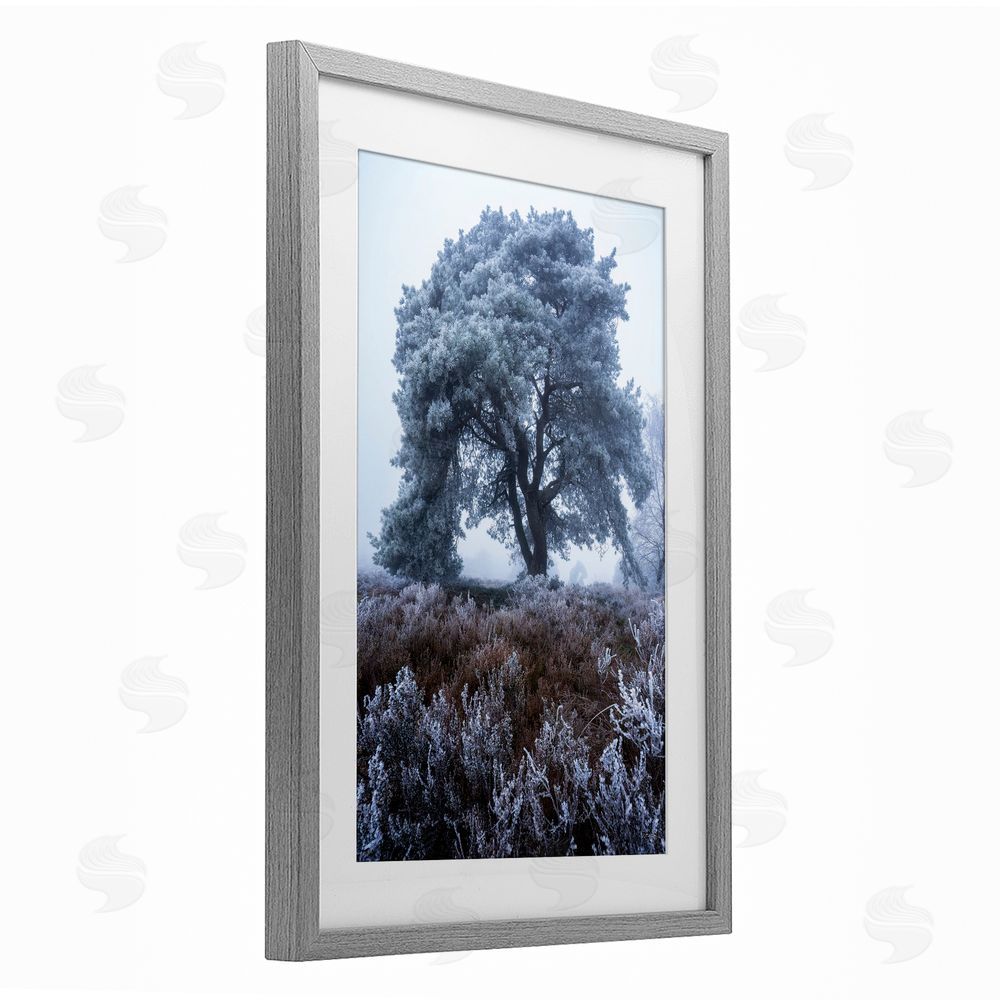 Martin Podt Frosted Tree in Winter Mist Gray Framed Print Under Glass Wall Art