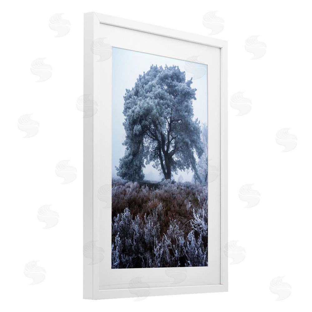Martin Podt Frosted Tree in Winter Mist White Framed Print Under Glass Wall Art