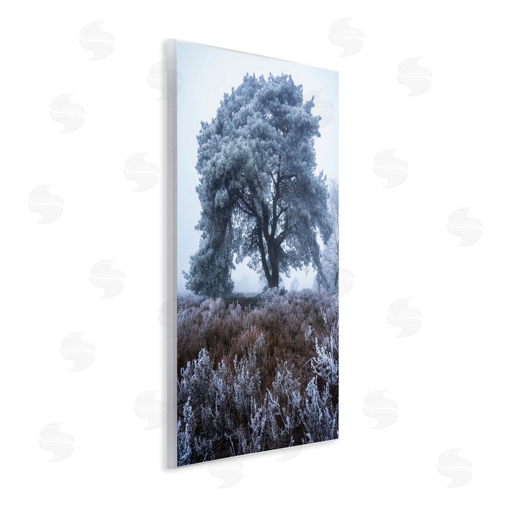 Martin Podt Frosted Tree in Winter Mist Wall Plaque Home Decor Art Print