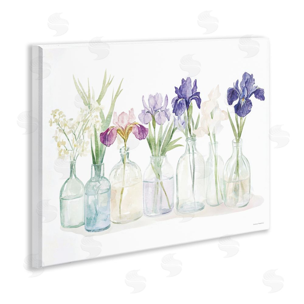 Svetlana Aleynikova Irises in Glass Bottles Wooden Wall Plaque Art Print