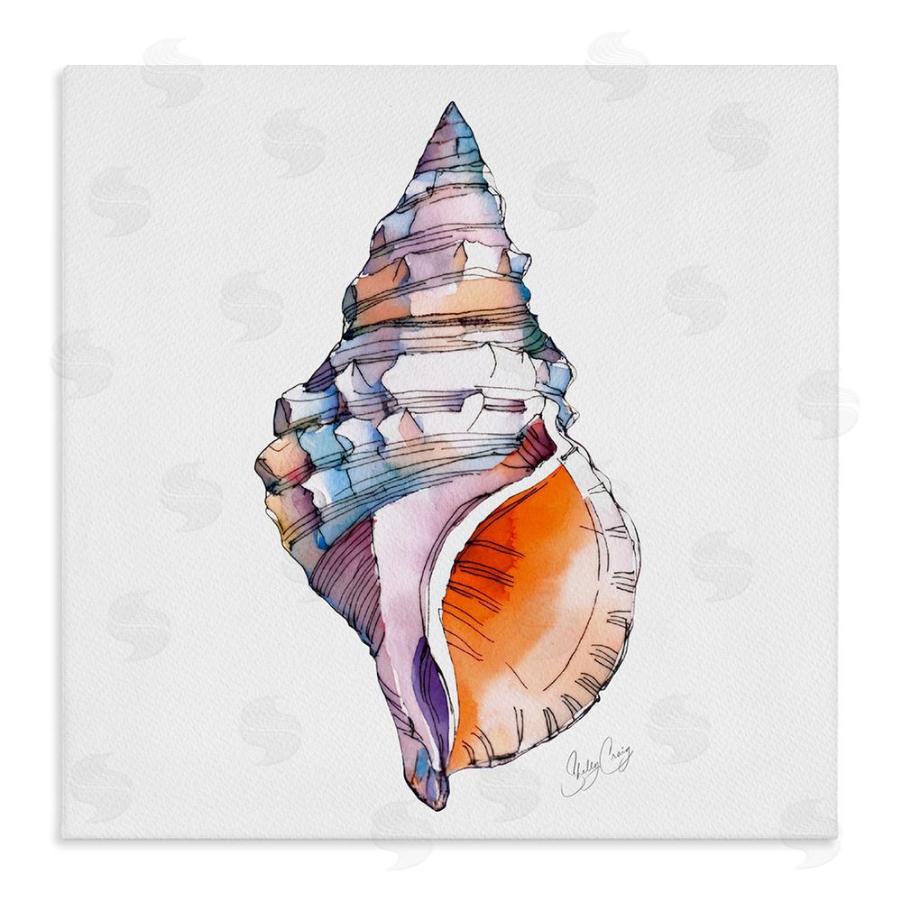 Shelly Craig Sunrise Conch Shell Stretched Canvas Wall Art Print