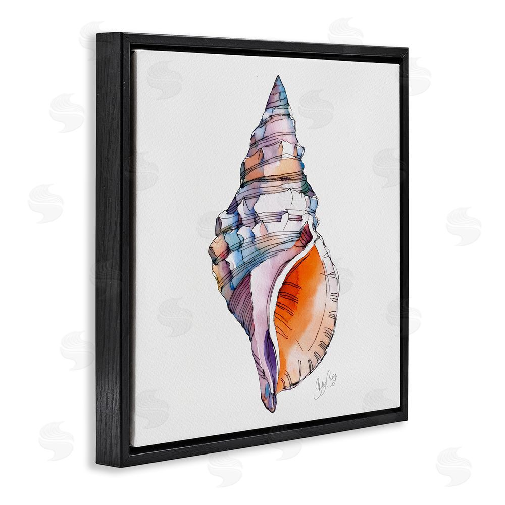 Shelly Craig Sunrise Conch Shell Black Floating Frame Canvas Wall Art Print