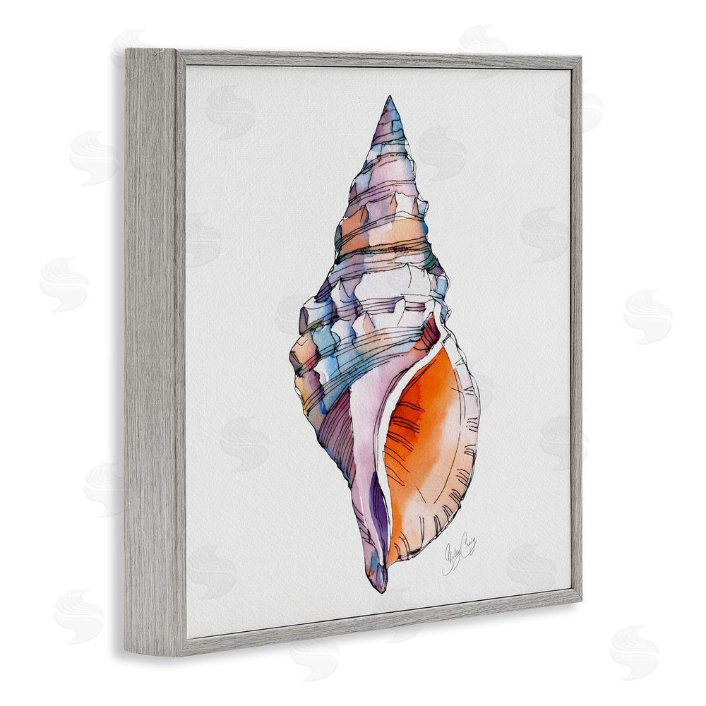 Shelly Craig Sunrise Conch Shell Gray Framed Giclee Wall Art Print