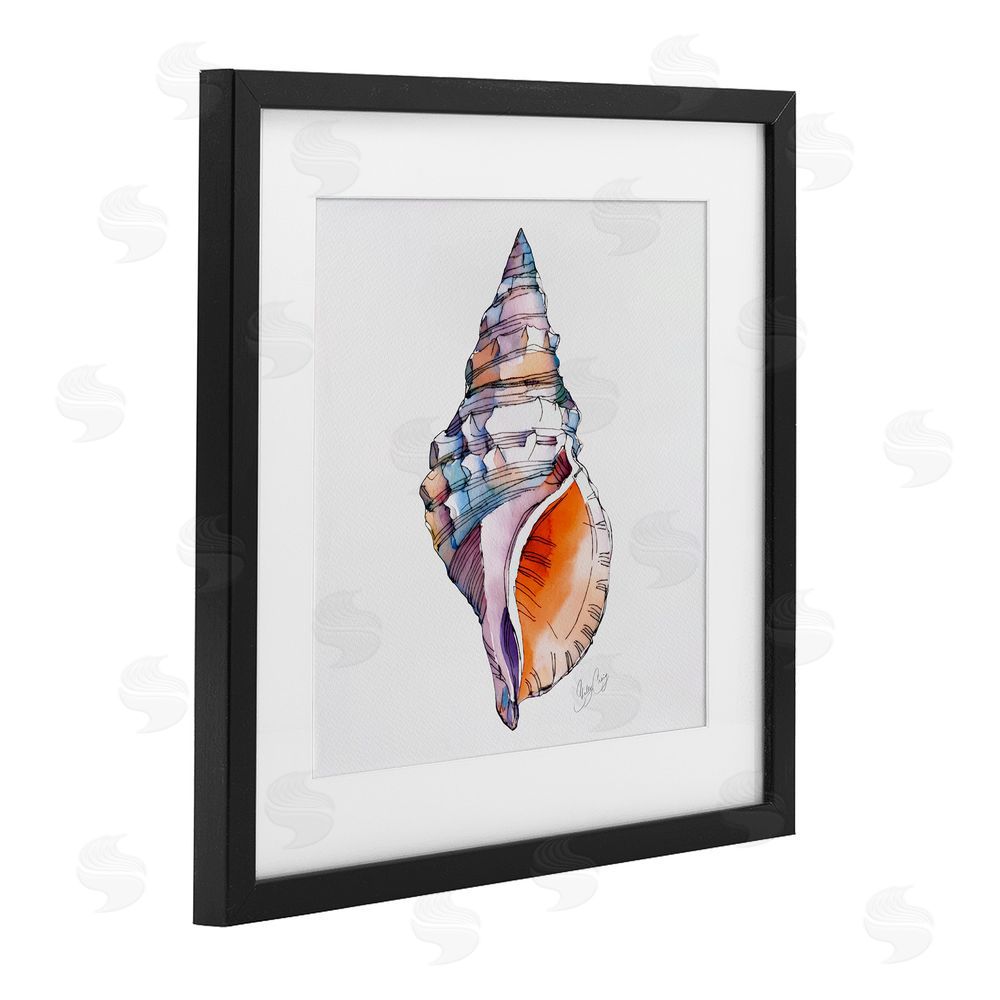Shelly Craig Sunrise Conch Shell Black Framed Print Under Glass Wall Art