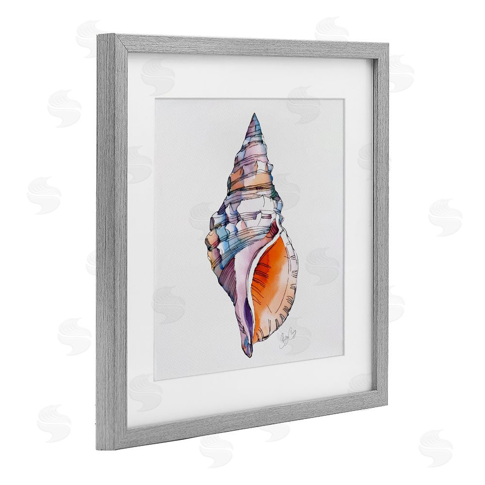 Shelly Craig Sunrise Conch Shell Gray Framed Print Under Glass Wall Art