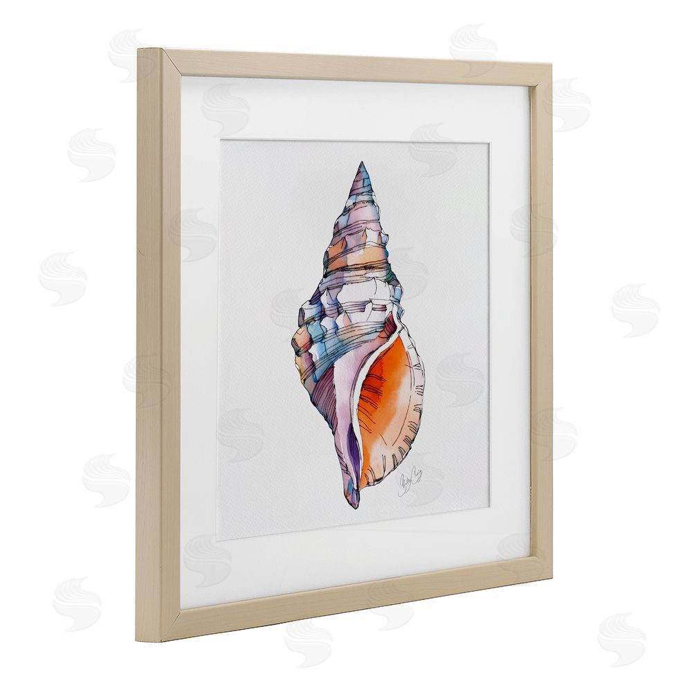 Shelly Craig Sunrise Conch Shell Brown Framed Print Under Glass Wall Art