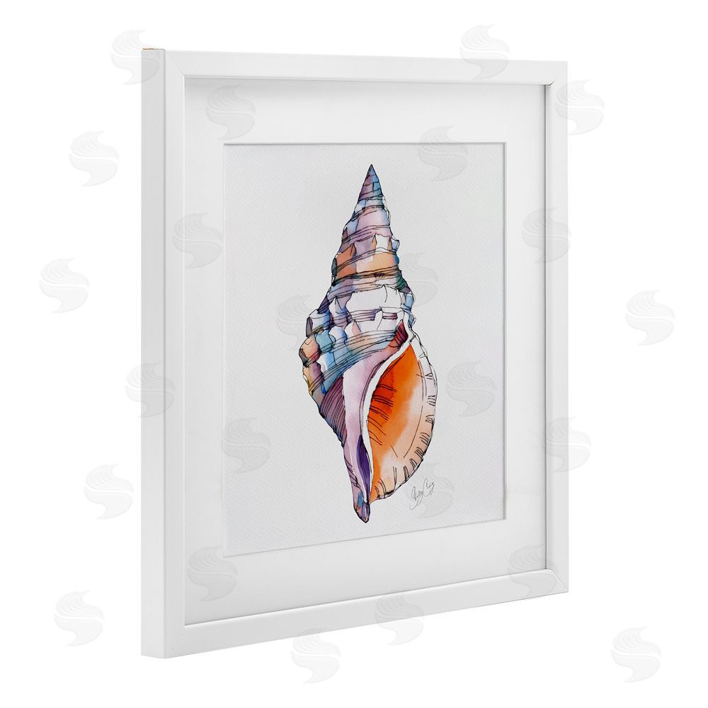 Shelly Craig Sunrise Conch Shell White Framed Print Under Glass Wall Art