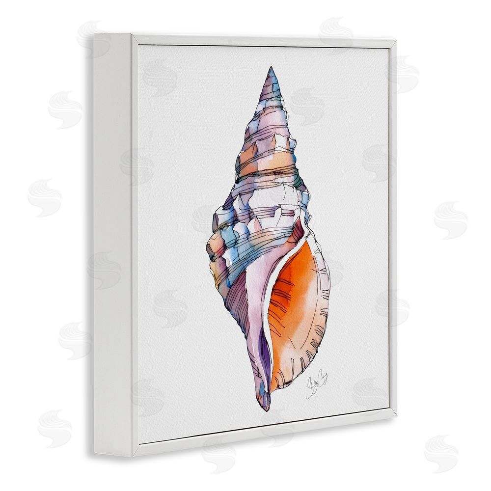 Shelly Craig Sunrise Conch Shell White Framed Giclee Wall Art Print