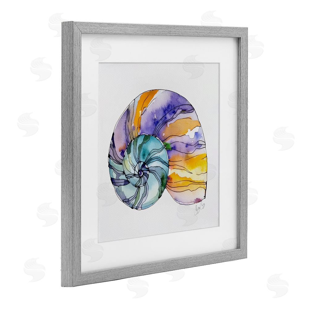 Shelly Craig Sunlit Striped Nautilus Gray Framed Print Under Glass Wall Art