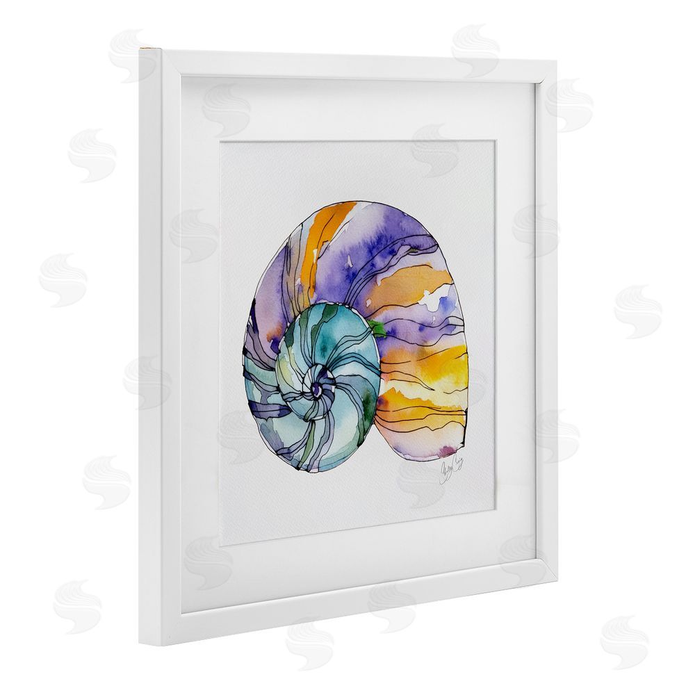 Shelly Craig Sunlit Striped Nautilus White Framed Print Under Glass Wall Art