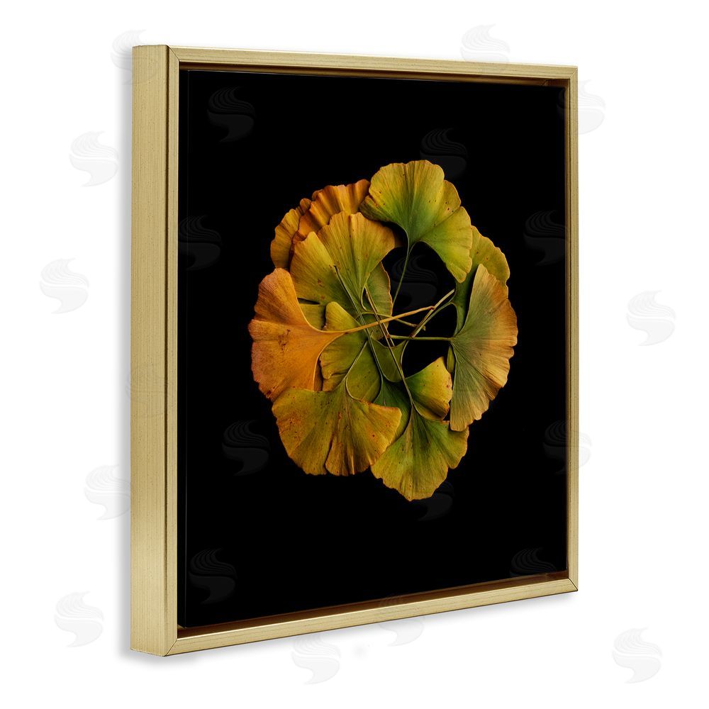 Beth Adoette Overlapping Ginkgo Leaves Gold Floating Frame Canvas Wall Art Print
